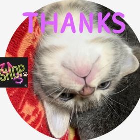 YUKO様専用♬〃࿐♬*° | 未来家系図 つぐmeのアカウントデータ、RMTの販売・買取一覧