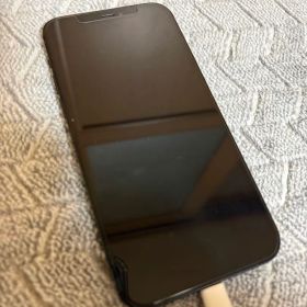 Apple iPhone 12 本体