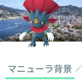 マニューラ キュウコン グランブル ヘルガー アブソル 長崎背景 トレード XL | ポケモンGOのアカウントデータ、RMTの販売・買取一覧