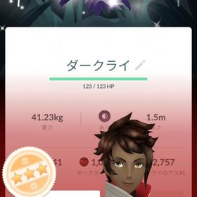 くちらたに様専用 | ポケモンGOのアカウントデータ、RMTの販売・買取一覧