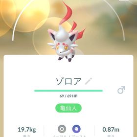 非対面ヒスイゾロア100匹トレード | ポケモンGOのトレード(モンスター)、RMTの販売・買取一覧