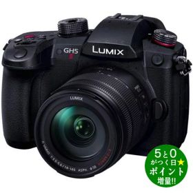 パナソニック カメラ ミラーレス一眼カメラ 高倍率ズームレンズキット LUMIX DC-GH5M2H ブラック Panasonic【転送不可】