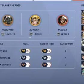 ✅ シルバー DPS丨ゴールドタンク丨ブロンズ サポート