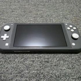Nintendo Switch Lite グレー 本体 microsd512GB