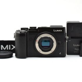 ■14055Sの極上品■ パナソニック Lumix DMC-GX8 #C538