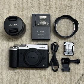 【美品】LUMIXミラーレスカメラDMC-GX8 レンズH-FS14140-KA