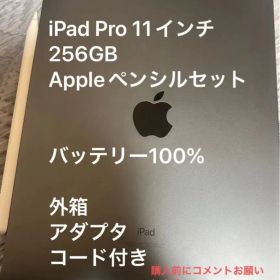 iPad Pro 11インチ 256GB