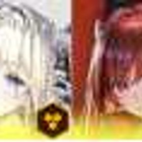 クラウン+ラピ：レッドフード♛7万石以上（高級集募券+ガチャチケット）合計900連以上♛25-50体 | 勝利の女神NIKKE(メガニケ)のアカウントデータ、RMTの販売・買取一覧