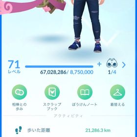 💥TL71伝説個体値100:5体!背景ザシアン剣の王!伝説幻430体!色違い159体所持 | ポケモンGOのアカウントデータ、RMTの販売・買取一覧