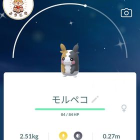 (アカウント-非対面トレード)✨色違いモルペコ 国産 | ポケモンGOのアカウントデータ、RMTの販売・買取一覧