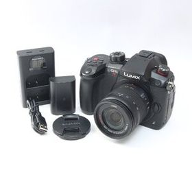 パナソニック Panasonic LUMIX DC-GH5S + G VARIO 14-45mm F3.5-5.6 レンズセット 【シャッター数1677回】