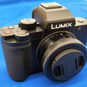 ミラーレス一眼レフ DC-G100 PANASONIC
