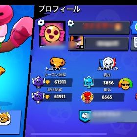 引退垢！トロ60000！コイン48000！エメ300！コラボスキン多数あり！ | ブロスタ(ブロウルスターズ)のアカウントデータ、RMTの販売・買取一覧