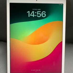 訳あり iPad Pro 第2世代 12.9インチ 512GB WiFi版 ゴールド色