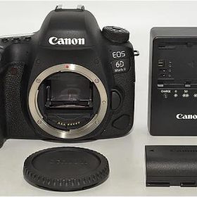 460★ほぼ新品・ショット数961回★Canon デジタル一眼レフカメラ EOS 6D Mark II ボディー EOS6DMK2