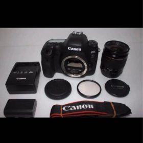 Canon EOS 6D Mark II レンズ2個セット キャノン