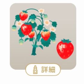 SR 苺の盆栽の木 | リヴリーアイランドのアイテム、RMTの販売・買取一覧