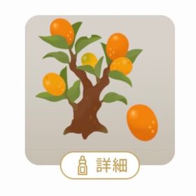 SR 骨董店の金柑の木 | リヴリーアイランドのアイテム、RMTの販売・買取一覧