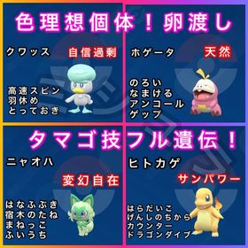 🔥特価❗️国産✨タマゴ渡し色理想個体！オシャボ入り | ポケモンSV(スカーレットバイオレット)のアカウントデータ、RMTの販売・買取一覧