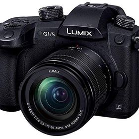 【中古】【非常に良い】パナソニック(Panasonic) ミラーレス一眼カメラ ルミックス GH5 レンズキット 標準ズームレンズ付属 ブラック DC-GH5M-K
