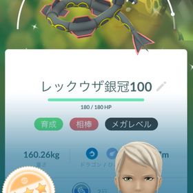 TL55 色違い64体 個体値MAX伝説2体 コスチューム色違い豊富 | ポケモンGOのアカウントデータ、RMTの販売・買取一覧