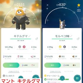 マントのキテルグマ・モルペコ・アンノーンなど色違い29体保有アカウント | ポケモンGOのアカウントデータ、RMTの販売・買取一覧