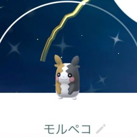 ウサウサ様専用 | ポケモンGOのアカウントデータ、RMTの販売・買取一覧