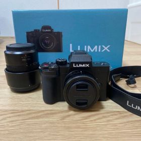 Panasonic LUMIX DC-G100DW ダブルズームキット