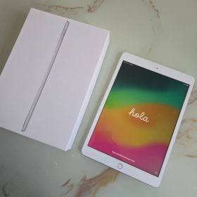 美品 iPad 第7世代 32GB wifi+Cellular シルバー