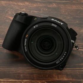 【極上品】 Sony RX10IV DSC-RX10M4 #6518
