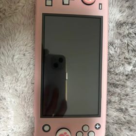 Nintendo Switch Lite 本体グレー カバー付き