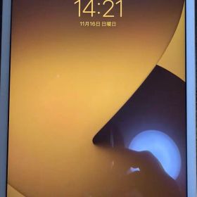 Apple iPad mini 4 (MNWG2J/A)