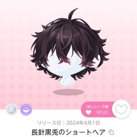 長針黒兎のショートヘア 双子分 | ポケコロツイン(ポケツイ)のアカウントデータ、RMTの販売・買取一覧