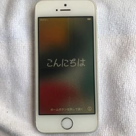 Apple iPhone SE 第1世代 ジャンク品