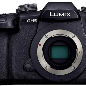 【中古】パナソニック ミラーレス一眼カメラ ルミックス GH5 ボディ ブラック DC-GH5-K