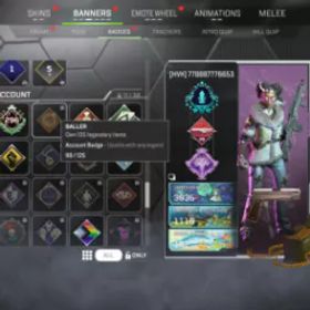 Apex 伝説の記述 — LV 296 |99 伝説 スキン | バンガロール スキン |完ぺきですね 初期垢 アカウント