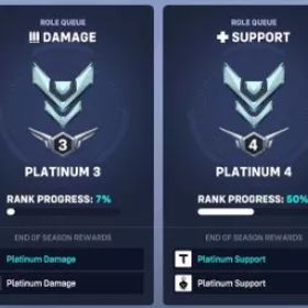 トリプル プラチナ🔹プレート1タンク🔹プレート3 ダメージ🔹Dish4サップ🔹