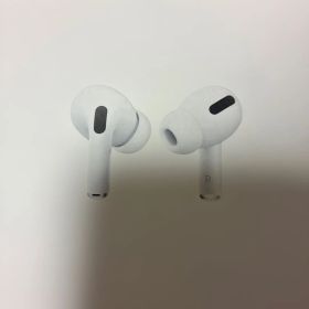 Apple AirPods Pro 本体