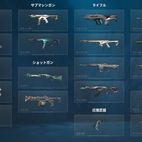 引退の為売ります | VALORANT(ヴァロラント)のアカウントデータ、RMTの販売・買取一覧