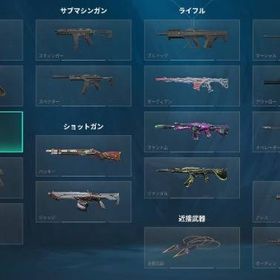 初期メアド譲渡 ダイバージェンスセット クロナミの刃など | VALORANT(ヴァロラント)のアカウントデータ、RMTの販売・買取一覧