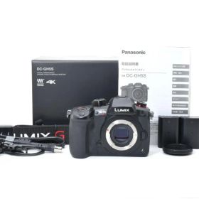 Panasonic LUMIX DC-GH5S ボディ ジャンク パナソニック