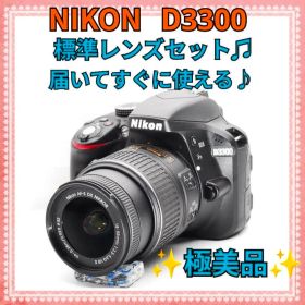 大人気機種❤️NIKON D3300✨軽量コンパクト