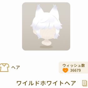 ワイルドホワイトヘア | リヴリーアイランドのアイテム、RMTの販売・買取一覧