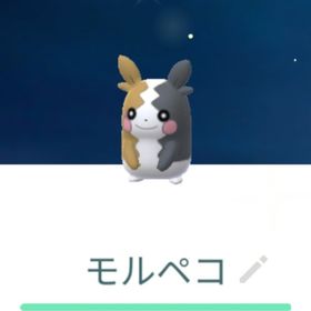 色違いモルペコ トレード | ポケモンGOのアカウントデータ、RMTの販売・買取一覧
