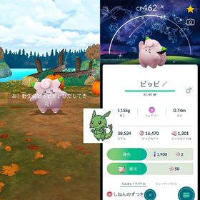 AGさん専用商品 | ポケモンGOのアカウントデータ、RMTの販売・買取一覧