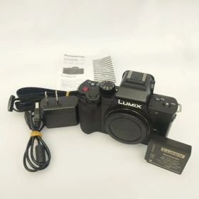 LUMIX DC-G100 ミラーレス一眼カメラ 本体 充電器付き