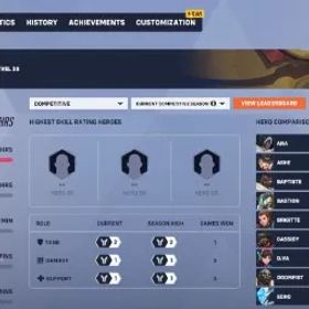 ✅ シルバー サポート丨シルバー ダメージ | シルバー タンク