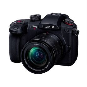 【長期5年保証付】パナソニック Panasonic LUMIX DC-GH5M2M 標準ズームレンズキット