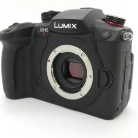 【中古】Panasonic LUMIX GH5II ボディ DC-GH5M2【DS秋葉】保証期間１ヶ月【ランクA】