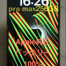 バッテリー100% iPhone 13 ProMax 256GB 早い者勝